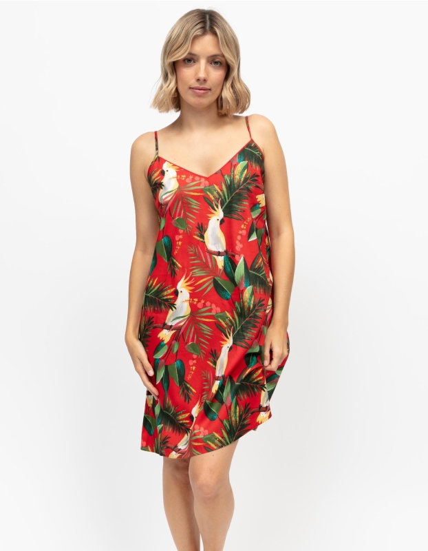 5407-TARA